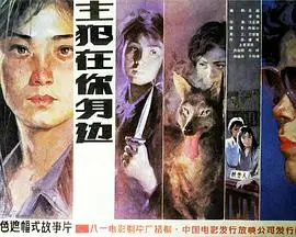 主犯在你身边