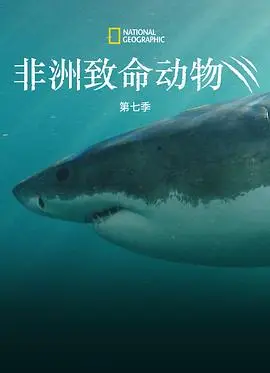非洲致命动物第七季