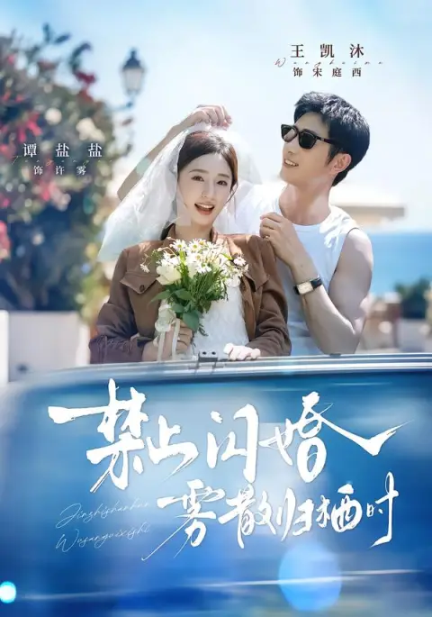 禁止闪婚，雾散归栖时