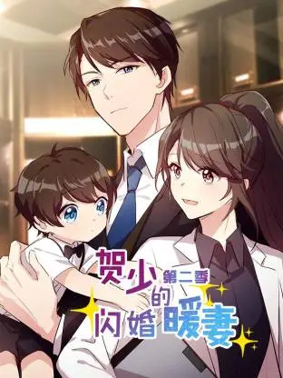贺少的闪婚暖妻第二季