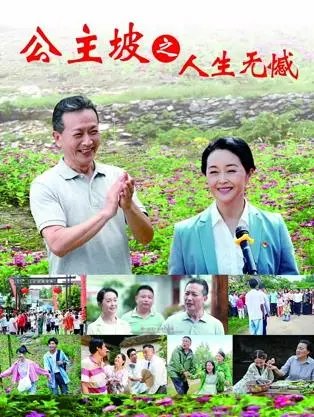 公主坡之人生无憾