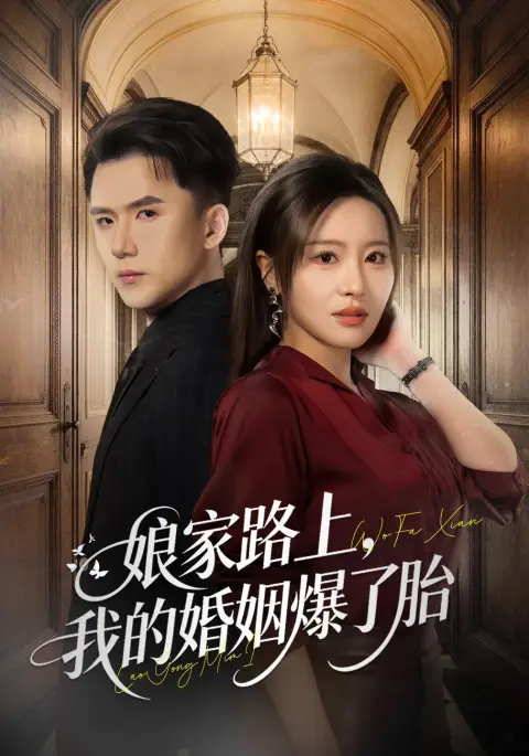 娘家路上,我的婚姻爆了胎